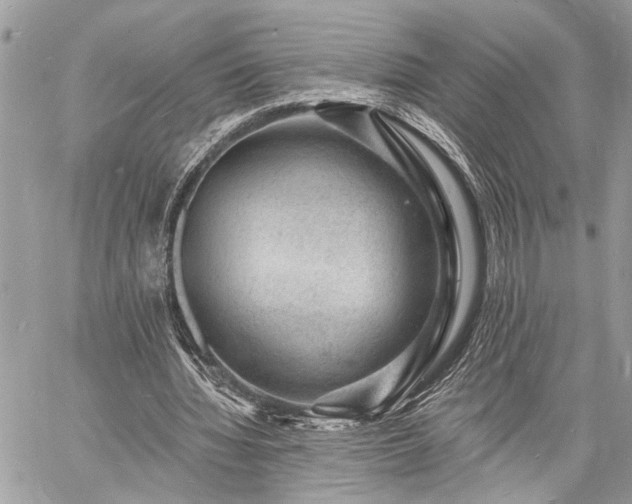 X0000060740436200511141137