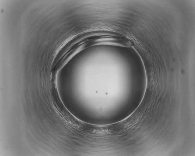 X0000060740440200511141137