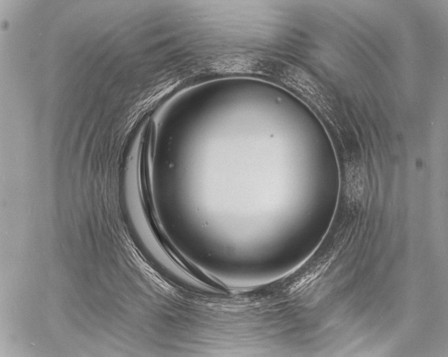 X0000060740441200511141137