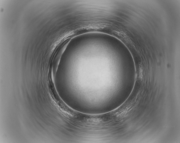 X0000060740444200511141137