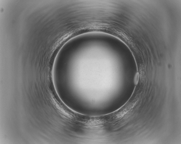 X0000060740445200511141137