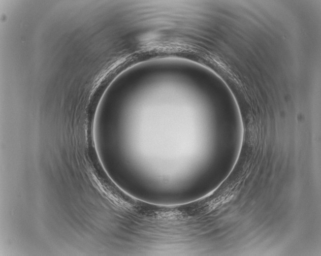 X0000060740446200511141137