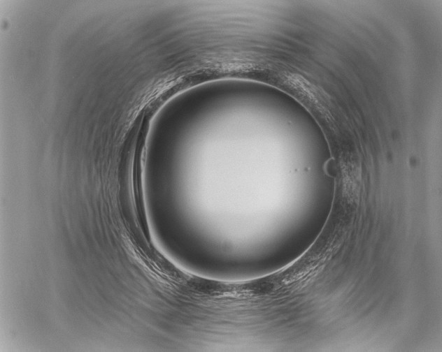 X0000060740447200511141137