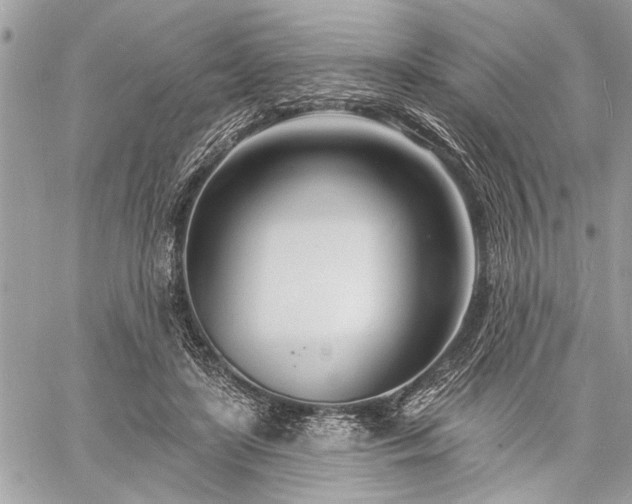 X0000060740451200511141137