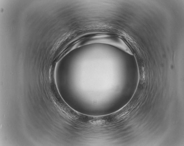 X0000060740452200511141137