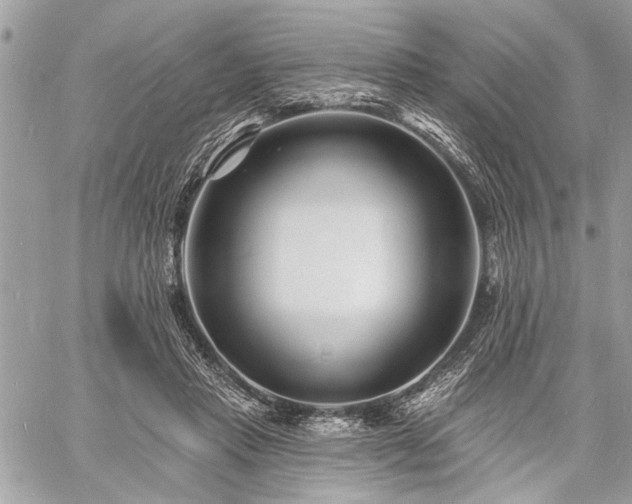 X0000060740453200511141137