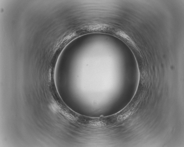 X0000060740454200511141137