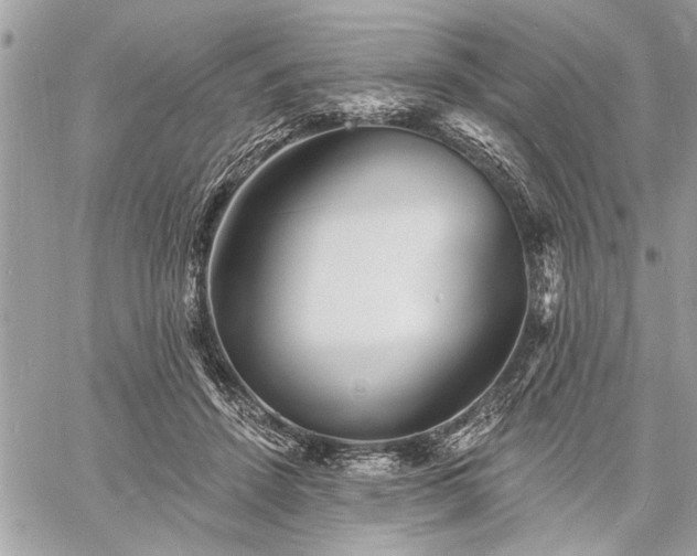 X0000060740456200511141137