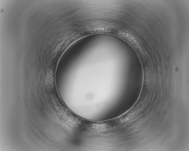 X0000060740457200511141137