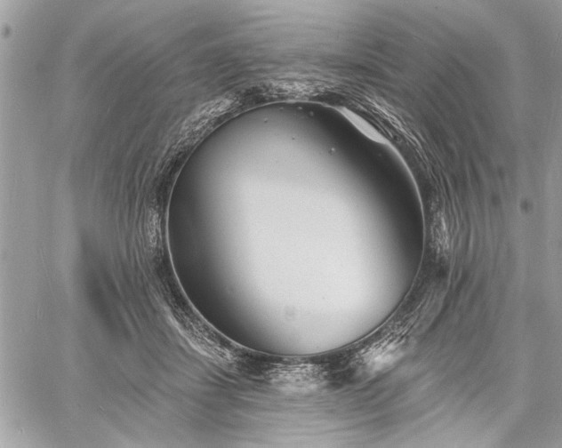 X0000060740459200511141137