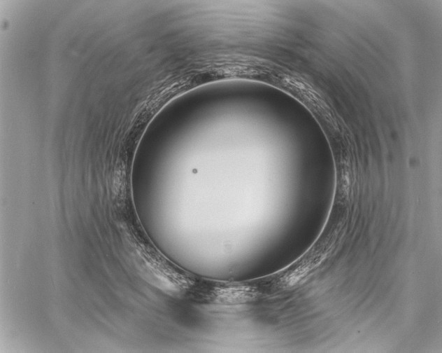 X0000060740461200511141137