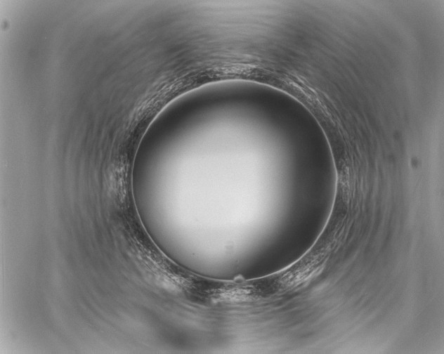 X0000060740462200511141137