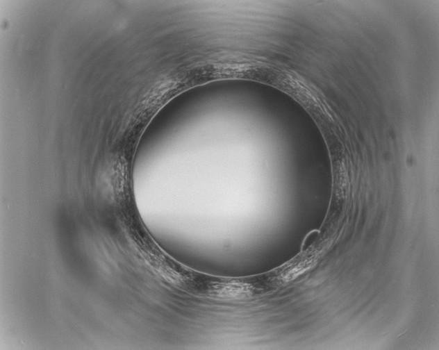 X0000060740463200511141137