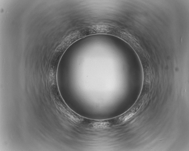 X0000060740465200511141137