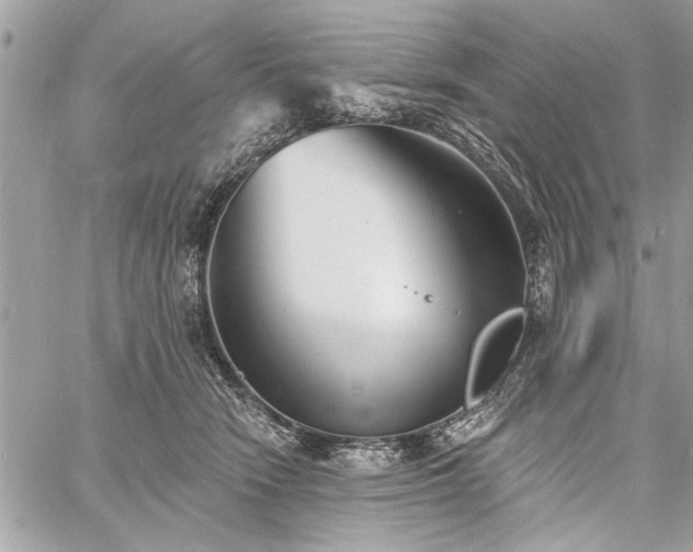 X0000060740466200511141137