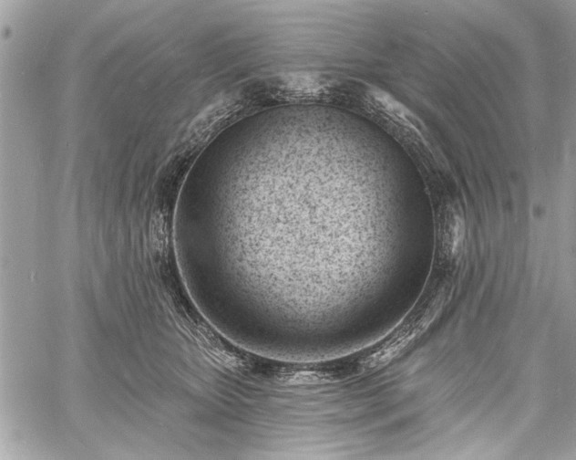 X0000060740467200511141137