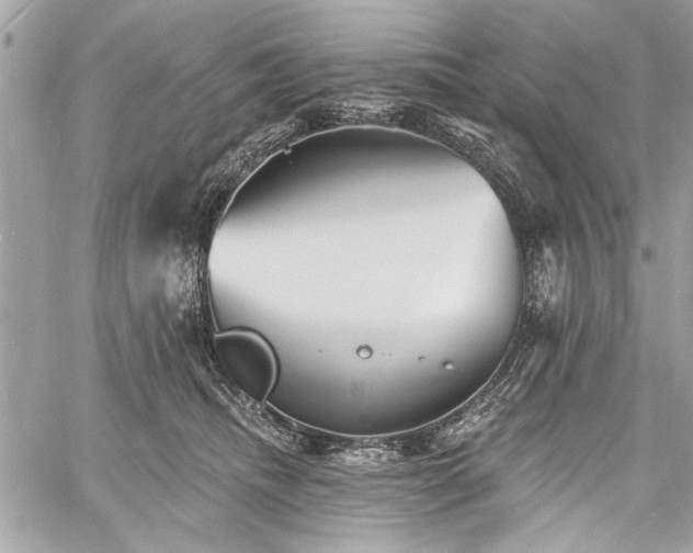 X0000060740468200511141137