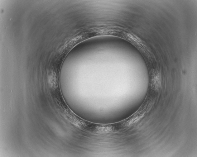 X0000060740469200511141137