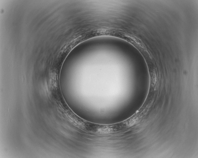 X0000060740470200511141137