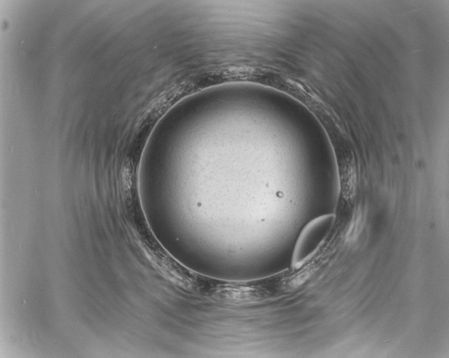 X0000060740472200511141137