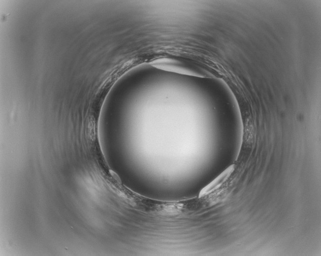 X0000060740474200511141137