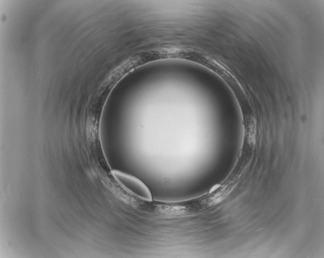 X0000060740476200511141137