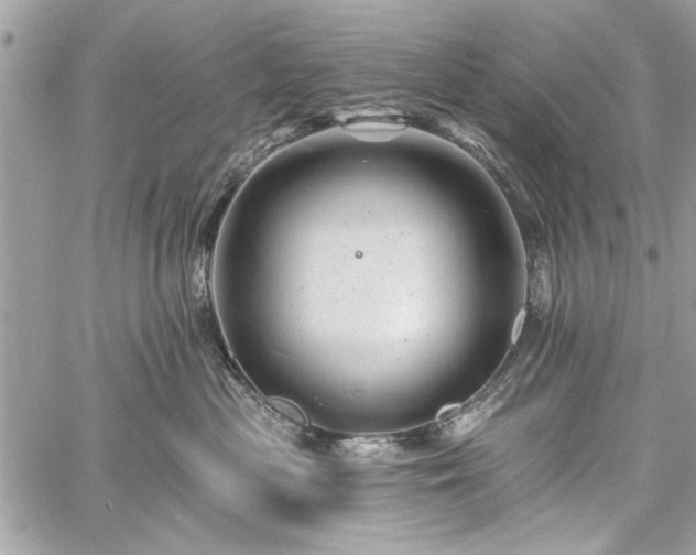 X0000060740477200511141137