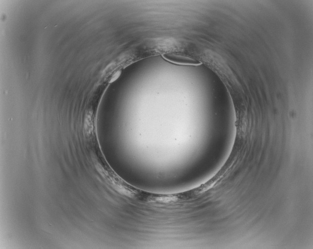 X0000060740478200511141138