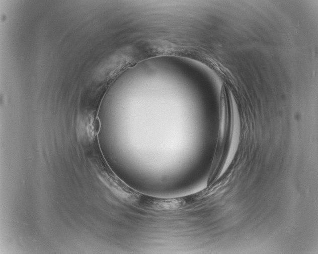 X0000060740479200511141138