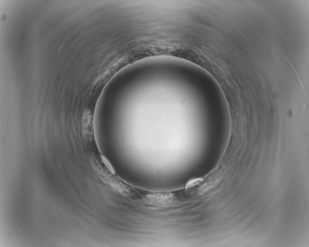 X0000060740480200511141138