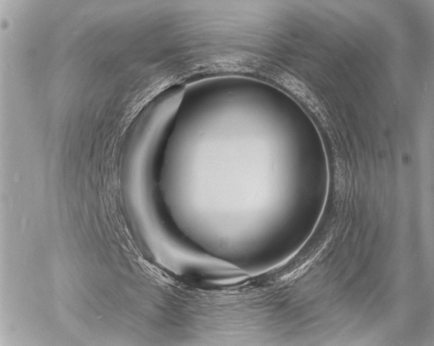 X0000060740481200511141137