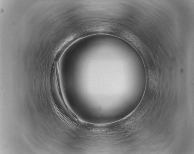 X0000060740482200511141137