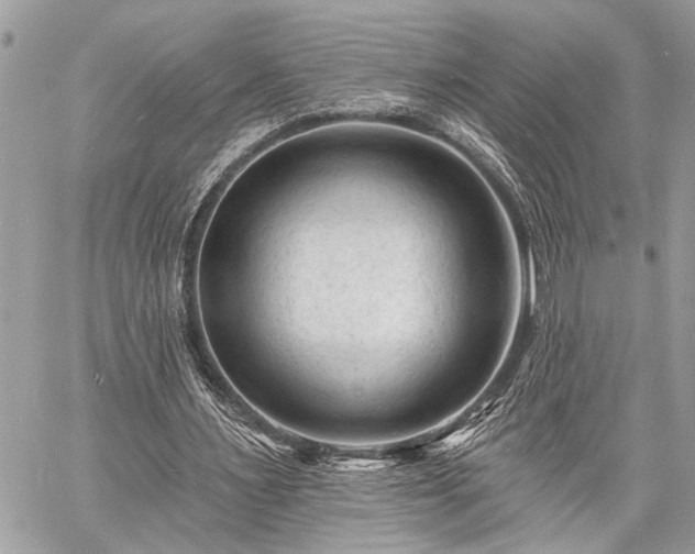 X0000060740483200511141137