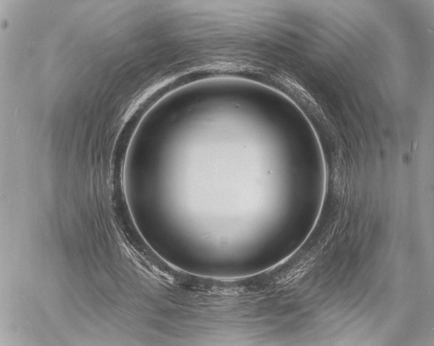 X0000060740484200511141137