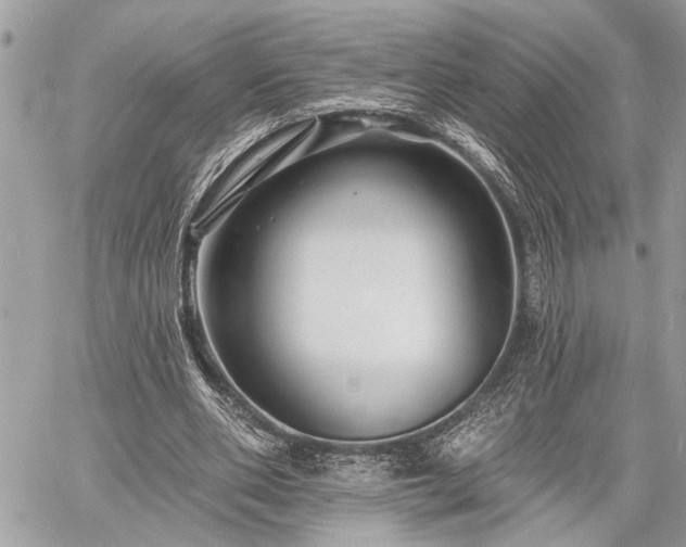 X0000060740486200511141137