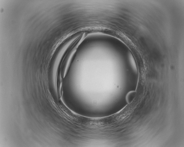 X0000060740487200511141137