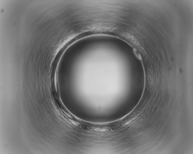 X0000060740488200511141137