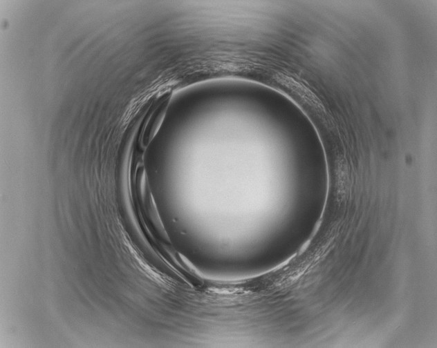 X0000060740489200511141137