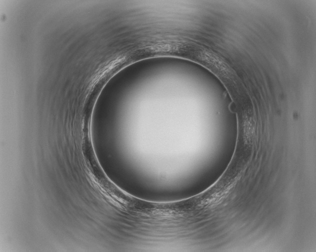 X0000060740490200511141137