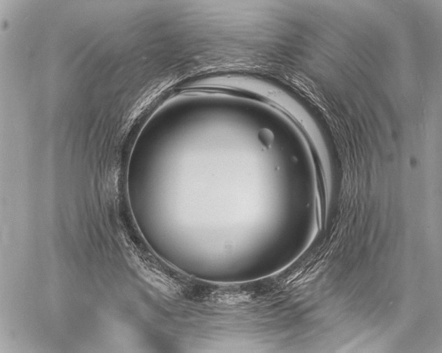 X0000060740491200511141137