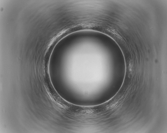 X0000060740492200511141137