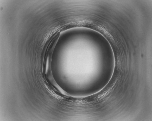 X0000060740493200511141137