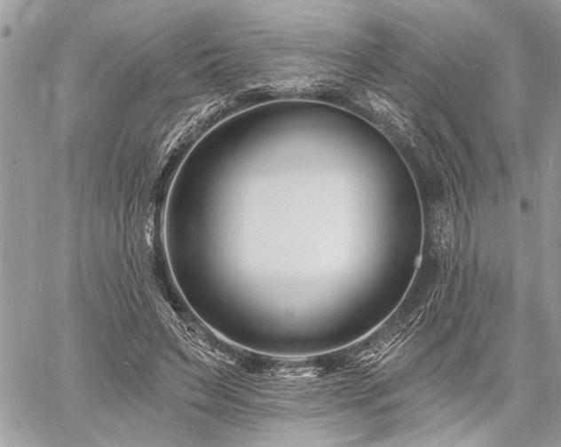 X0000060740495200511141137