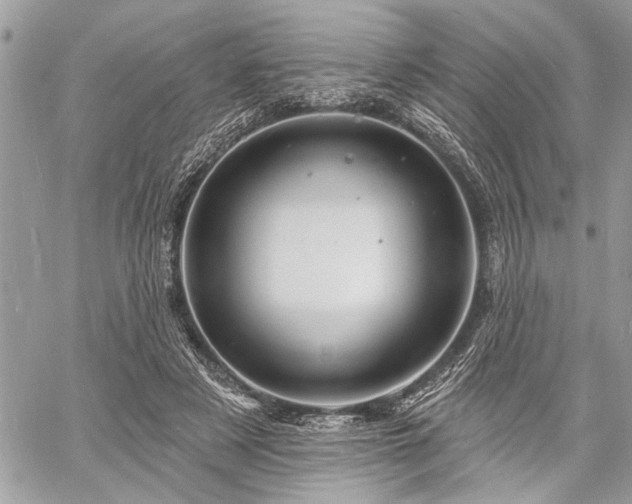 X0000060740497200511141136