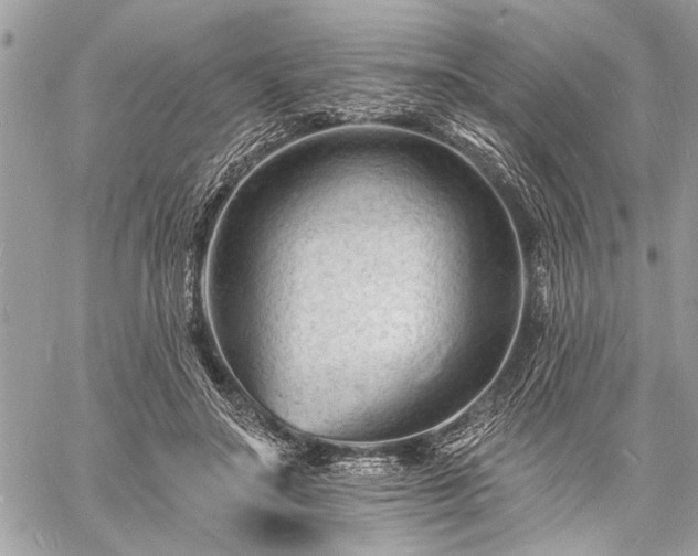 X0000060740499200511141136