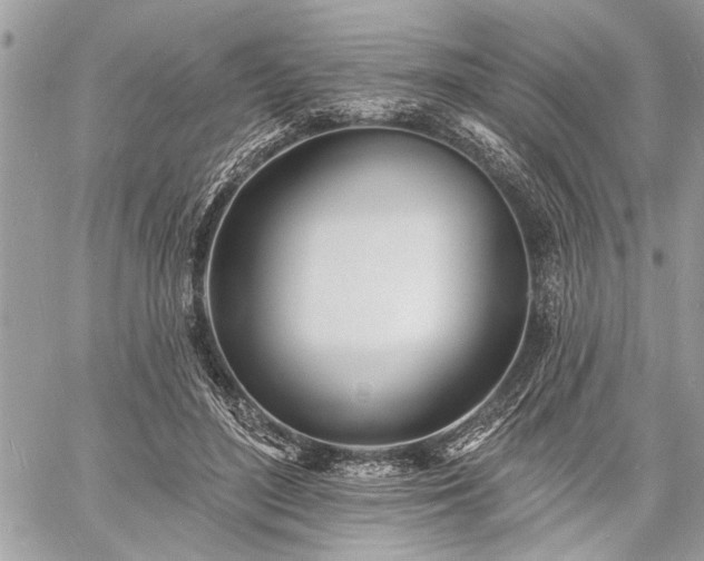 X0000060740500200511141136