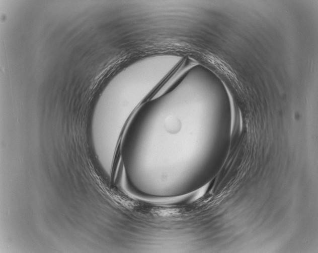 X0000060740501200511141136