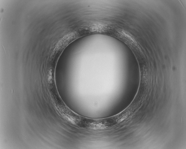 X0000060740502200511141136