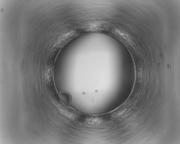 X0000060740503200511141136