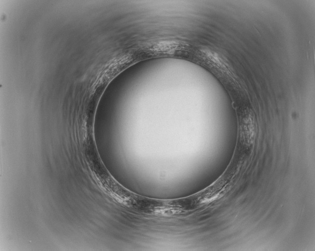 X0000060740504200511141136